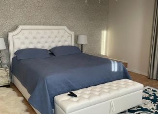 Аренда дома, 500 м2, деревня Шульгино, Центральная улица, 21/1