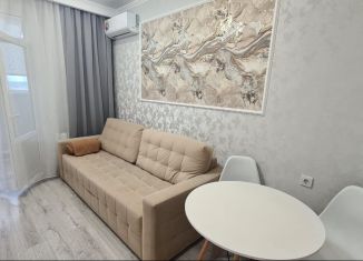 Сдам в аренду квартиру студию, 28 м2, Ростов-на-Дону, бульвар Комарова, 30/2с2, ЖК Аврора