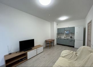 Сдается в аренду 2-ком. квартира, 38 м2, Петрозаводск, улица Лермонтова, 4