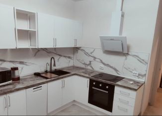 1-комнатная квартира в аренду, 38 м2, Санкт-Петербург, Арцеуловская аллея, 9, муниципальный округ Юнтолово