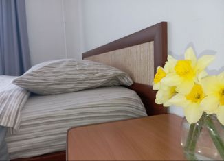 Сдача в аренду 1-комнатной квартиры, 32 м2, поселок станции Выдрино, улица Красных Партизан, 47