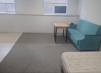 Сдается квартира студия, 34 м2, Республика Алтай, улица Берёзовая Роща, 9к1