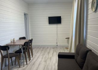 Сдаю таунхаус, 40 м2, Нижегородская область, Родниковая улица, 19