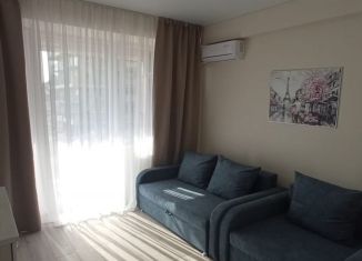 Сдается в аренду квартира студия, 22 м2, посёлок городского типа Дагомыс, Старошоссейная улица, 5к6