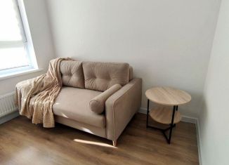 Квартира в аренду студия, 30 м2, деревня Столбово, проспект Куприна, 30к9