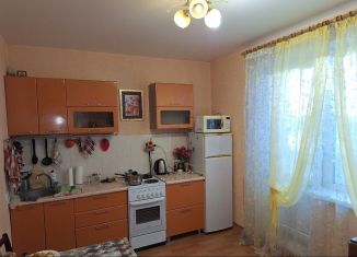 Сдача в аренду однокомнатной квартиры, 42 м2, Пермь, Запорожская улица, 1, ЖК Авиатор