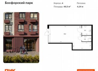 Продам помещение свободного назначения, 46.5 м2, Владивосток, жилой комплекс Босфорский Парк, 4