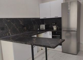 1-ком. квартира в аренду, 43 м2, Краснодар, Обрывная улица, 132/1к2, микрорайон Черемушки