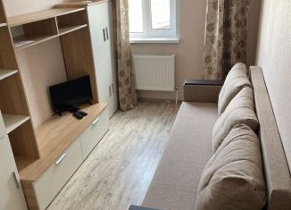 1-комнатная квартира в аренду, 26.3 м2, деревня Куюки, улица 22-й Квартал, 7