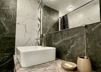 Сдача в аренду квартиры студии, 30.6 м2, Тула, Новомосковская улица, 4