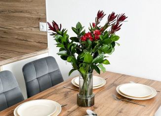 Сдам 1-ком. квартиру, 33.7 м2, Котельники, ЖК Белая Дача Парк, микрорайон Парковый, 14