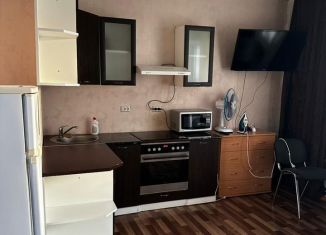 Сдается в аренду квартира студия, 28 м2, Тюмень, Газопромысловая улица, 8, ЖК Новый Мыс 2.0