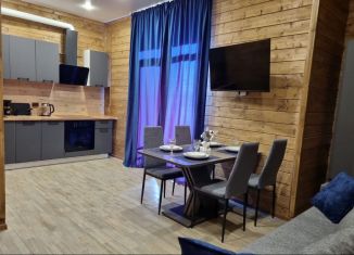 Сдаю в аренду дом, 40 м2, село Агой, садовое товарищество Черноморье, 149А