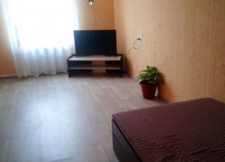 Сдаю в аренду дом, 40 м2, деревня Шуньга, Центральная улица, 2