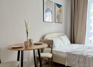 Сдается квартира студия, 20 м2, Котельники, Новая улица, 3