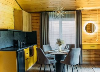 Сдача в аренду коттеджа, 42 м2, Республика Алтай, Удачный бульвар