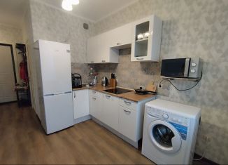 Аренда однокомнатной квартиры, 28.8 м2, Кудрово, Английская улица, 2