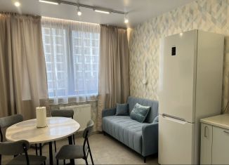 Сдается в аренду 2-комнатная квартира, 50 м2, Сочи, Ясногорская улица, 16/2к7, микрорайон Бытха