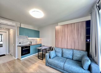 Сдаю в аренду квартиру студию, 20 м2, Люберцы, улица 8 Марта, 20к2, ЖК Люберцы Парк