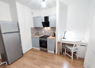 Сдача в аренду квартиры студии, 21.2 м2, Мурино, улица Шоссе в Лаврики, 57к3