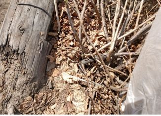 Продаю гараж, 18 м2, Чита, площадь Ленина