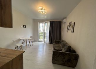 Сдаю квартиру студию, 25 м2, Сочи, улица Искры, 88к1, микрорайон Кудепста