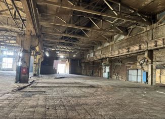 Сдается производство, 2800 м2, Пензенская область, улица Рябова, 3А