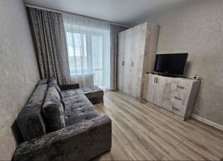 Сдается однокомнатная квартира, 40 м2, село Засечное, улица Натальи Лавровой, 20, ЖК Семейный