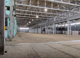 Продается помещение свободного назначения, 13000 м2, Пермский край