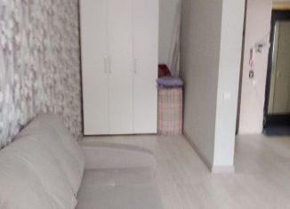 Сдача в аренду однокомнатной квартиры, 31 м2, Новосибирск, улица Мясниковой, 8/2, метро Заельцовская