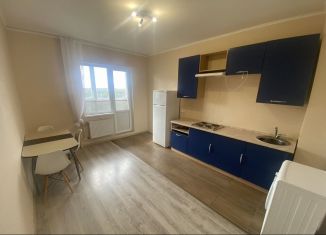 Сдам квартиру студию, 32 м2, Тверь, улица Фрунзе, 2к2