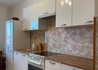 Сдаю в аренду 1-ком. квартиру, 40 м2, Санкт-Петербург, Славянская улица, 26, Невский район