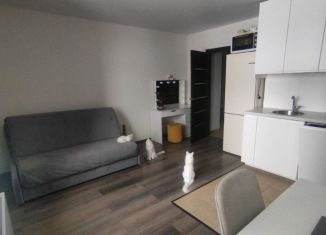 Сдаю в аренду квартиру студию, 25 м2, Люберцы, Инициативная улица, 7В, ЖК Облака