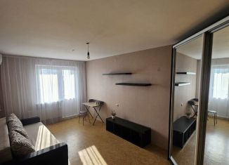 Сдается в аренду 1-комнатная квартира, 40 м2, Краснодар, улица 1-я Линия Поймы реки Кубань, 2, микрорайон Дубинка