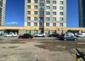 Сдается в аренду помещение свободного назначения, 20.7 м2, Санкт-Петербург, проспект Народного Ополчения, 149