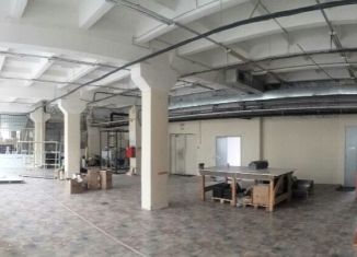 Сдается в аренду помещение свободного назначения, 300 м2, Санкт-Петербург, Грузинская улица, 5В