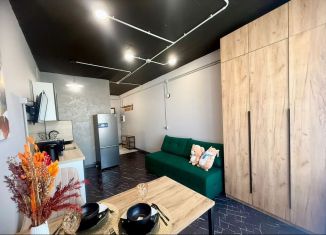 Аренда квартиры студии, 25 м2, Республика Башкортостан, улица Рудольфа Нуреева, 7