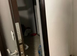 Продажа помещения свободного назначения, 21 м2, посёлок городского типа Гурзуф, Ялтинская улица, 16литГ