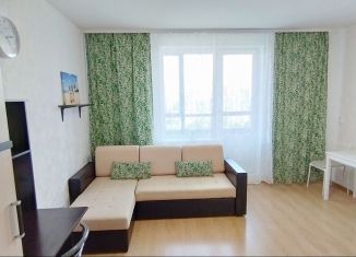 Сдаю в аренду квартиру студию, 25 м2, Мурино, проспект Авиаторов Балтики, 9, ЖК Виктория