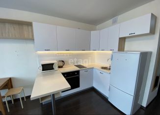 Сдаю квартиру студию, 25 м2, Тюмень, улица Тимофея Чаркова, 28, ЖК Новый Мыс 3.0