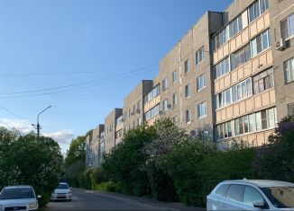Сдается 1-ком. квартира, 43 м2, Бронницы, посёлок Горка, 7