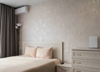 Сдается квартира студия, 24 м2, деревня Глухово, Романовская улица, 5