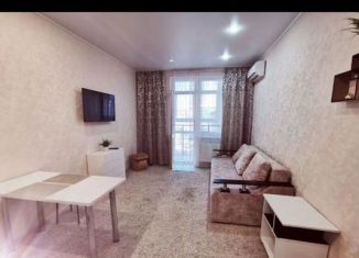 Квартира в аренду студия, 28 м2, Анапа, Владимирская улица, 142, ЖК Триумф