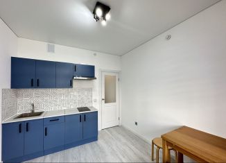 Сдается 1-комнатная квартира, 32 м2, Санкт-Петербург, проспект Ветеранов, 202, муниципальный округ Сосновая Поляна