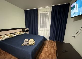 Сдача в аренду 1-комнатной квартиры, 44 м2, Крымск, улица Белинского