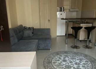 Квартира в аренду студия, 30 м2, Петергоф, Дивеевская улица, 1Л