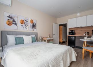 Аренда квартиры студии, 27 м2, Сочи, улица Искры, 88, микрорайон Кудепста