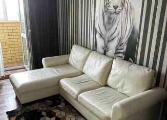 Сдаю в аренду квартиру студию, 30 м2, Тюмень, Газопромысловая улица, 8, ЖК Новый Мыс 2.0