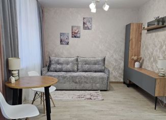 Сдается в аренду квартира студия, 27.7 м2, Томская область, улица Петра Чайковского, 1