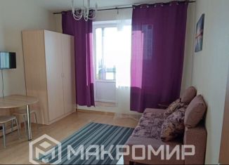 Сдается квартира студия, 26 м2, деревня Новое Девяткино, Капральская улица, 15, ЖК Озёрный